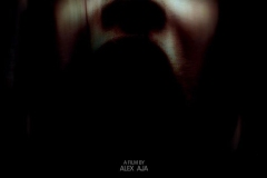 Mirrors 2008 